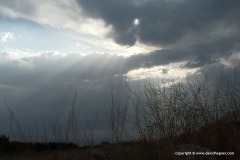 South of Talin
