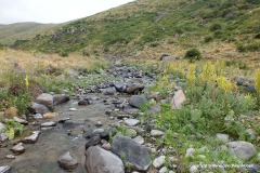 Near Amberd Castle