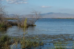 Sevan Lake
