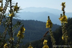 N of Dilijan