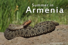 Armenia 2015