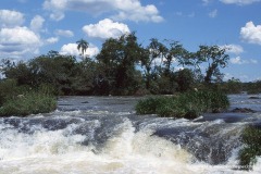 Iguacu Falls