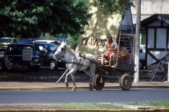 Porto Alegre