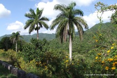 Topes de Collantes