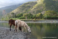 Sierra Maestra