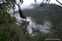 Sierra Maestra
