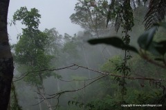 Sierra Maestra