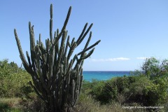 S of Baracoa