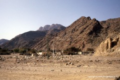 Wadi Feiran