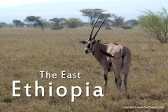 Ethiopia 2011