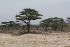 Near Archer’s Post