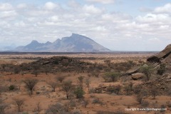 Ndoto Mts.