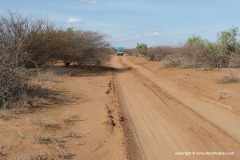 Near Ndoto Mts.