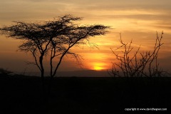 Samburu Land