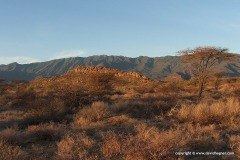 S of Lake Turkana