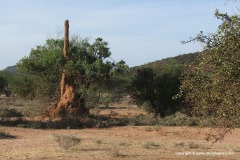 N of Lake Baringo