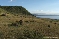 Lake Nakuru
