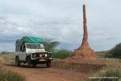 Termite hill