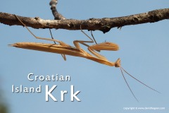 Croatia 2013