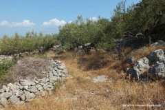 Near Punat