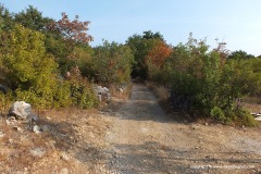 Near Njivice