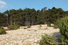 Near Veli Vrh