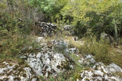 Near Ponikve