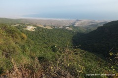 Dhofar Mts.