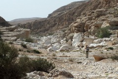 Wadi Ayoon