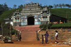 Nuwara Eliya