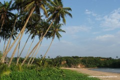 Weligama
