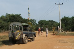 Yala N.P.