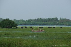 Tissamaharama