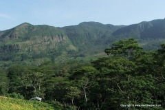 Knuckles Mts.