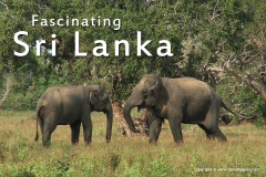 Sri Lanka 2006