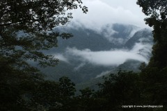 Near Baling
