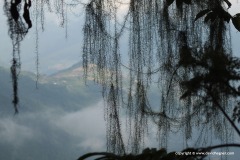 Yushan N.P.