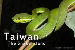 Taiwan 2014