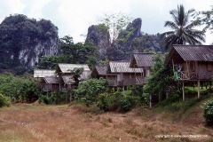 Khao-Sok
