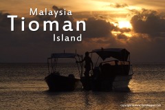 Tioman 2010