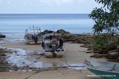 Boats, Juara