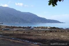 Low tide