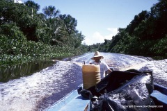 Orinoco delta