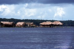 Orinoco delta