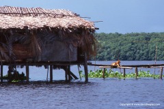 Orinoco delta