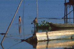 Orinoco delta