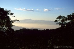 Cordillera de la Costa