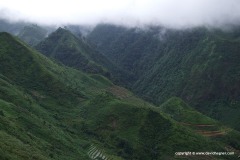 Hoang Lien Mts.