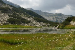 Pirin Mts.