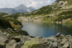 Dalgoto Lake